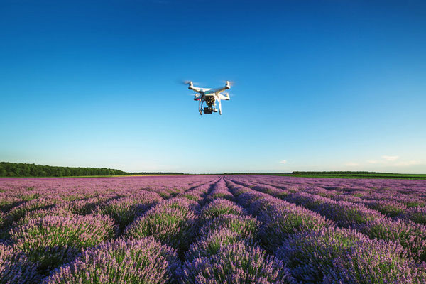 Model motor UAV